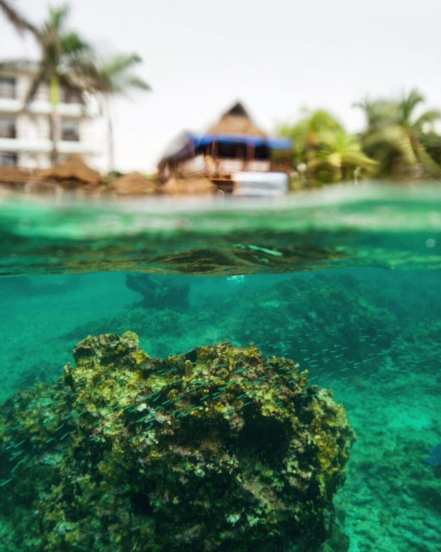 A view of the ocean from under water.