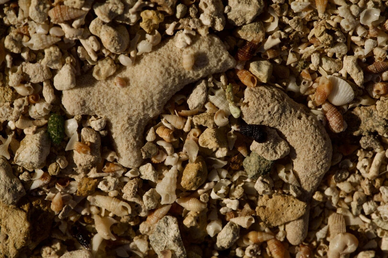 A close up of some sand on the beach