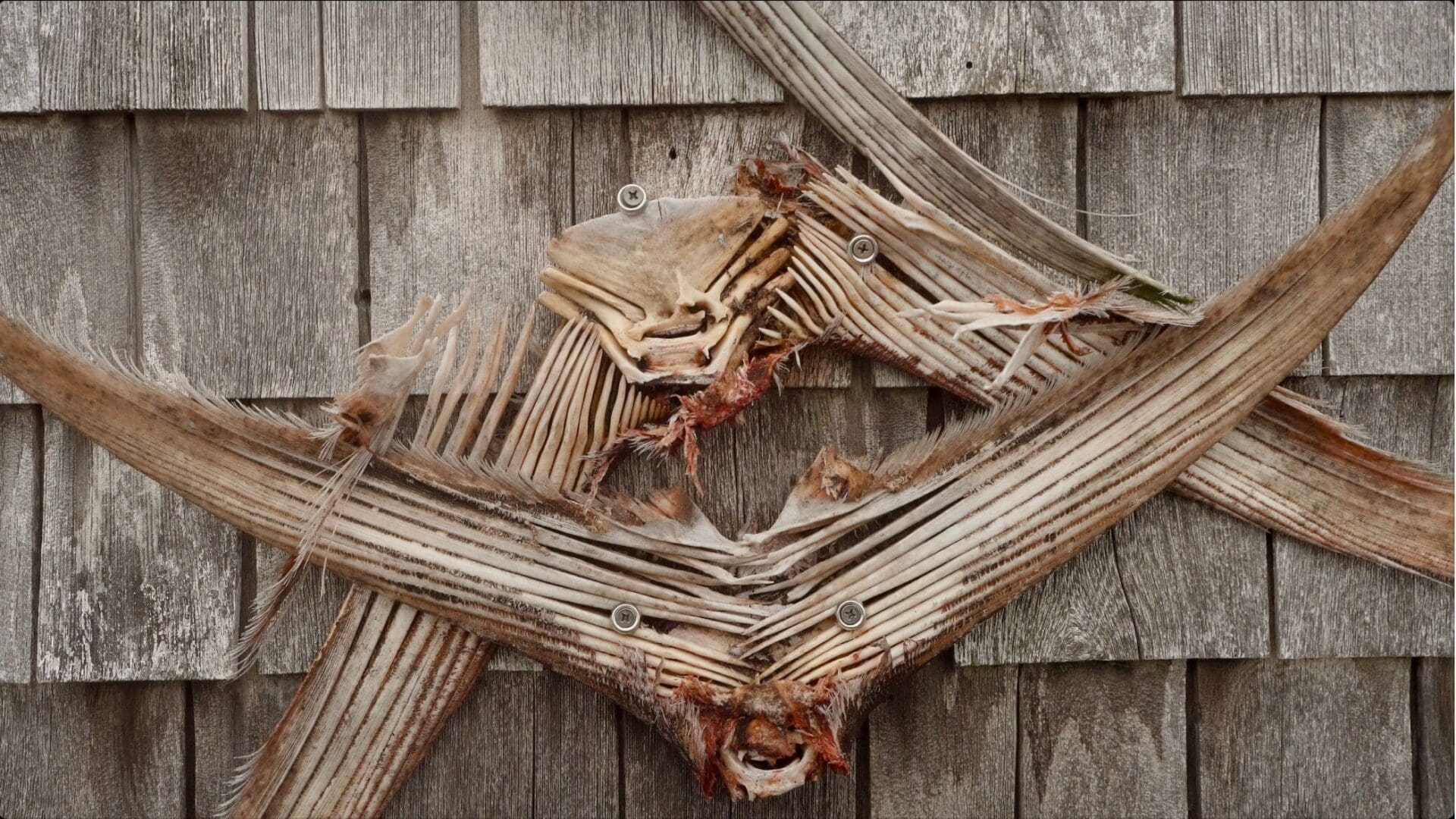 A wooden wall with some branches on it