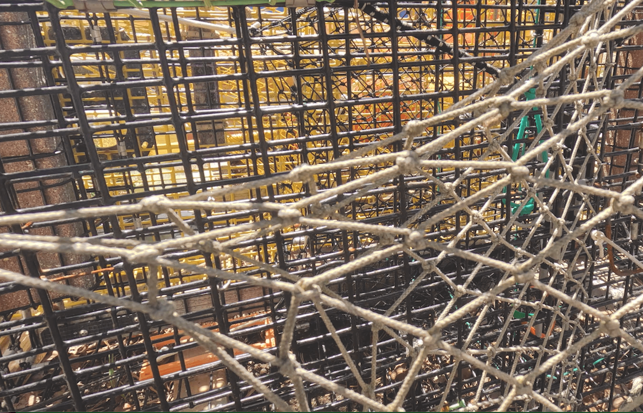 A large metal structure with many ropes on it.